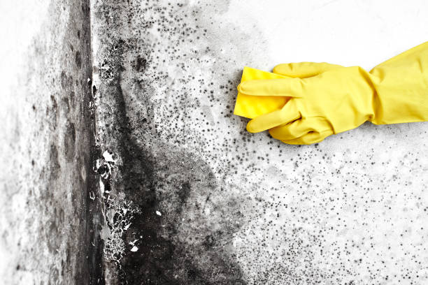 Mold Testing and Removal in Mannford, OK