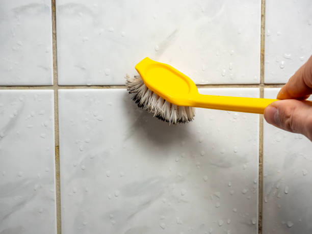 Best Best Mold Removal Companies  in Mannford, OK
