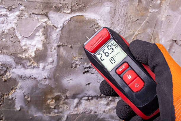 Best Mold Testing  in Mannford, OK
