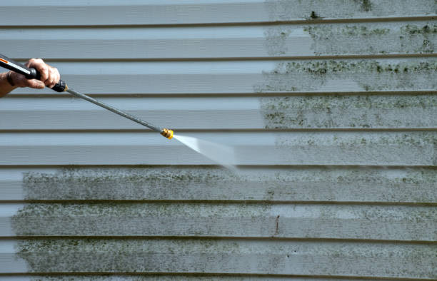 Attic Mold Removal in Mannford, OK