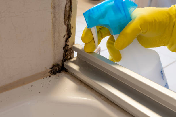 Best Mold Remediation Experts  in Mannford, OK