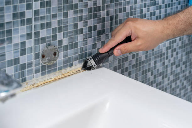 Best Toxic Mold Removal  in Mannford, OK