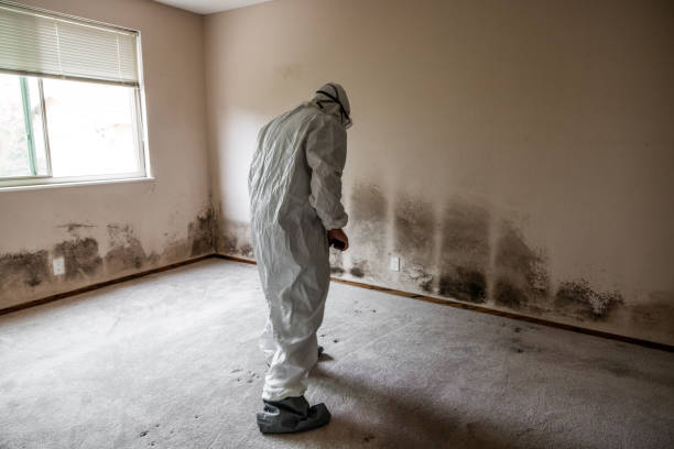 Best Office Mold Removal Services  in Mannford, OK