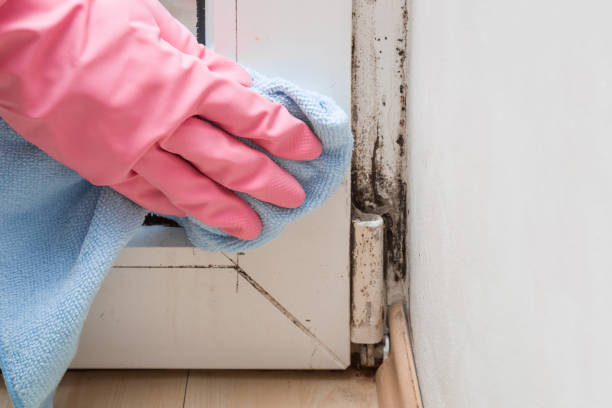 Best Home Mold Removal  in Mannford, OK